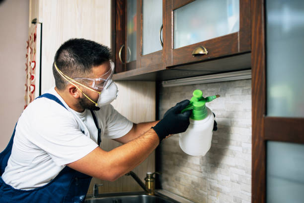 Best Pest Prevention Services  in Hugo, MN