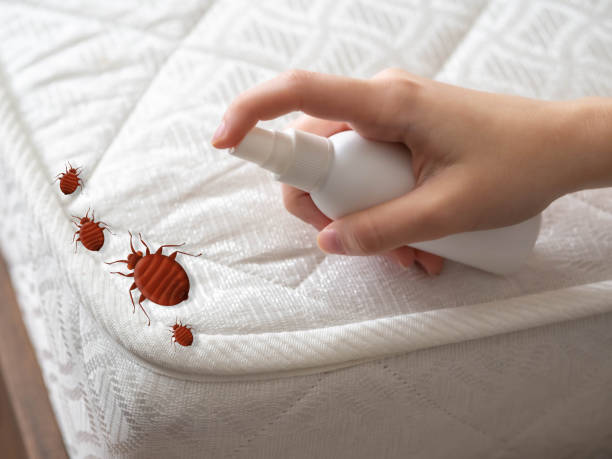 Best Mosquito Control Services  in Hugo, MN